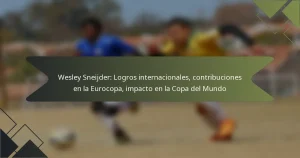 Wesley Sneijder: Logros internacionales, contribuciones en la Eurocopa, impacto en la Copa del Mundo
